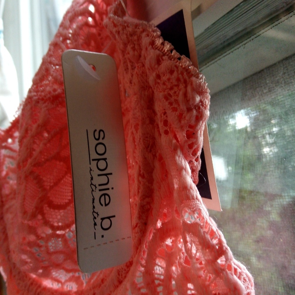 Bra - Picture 4 of 4